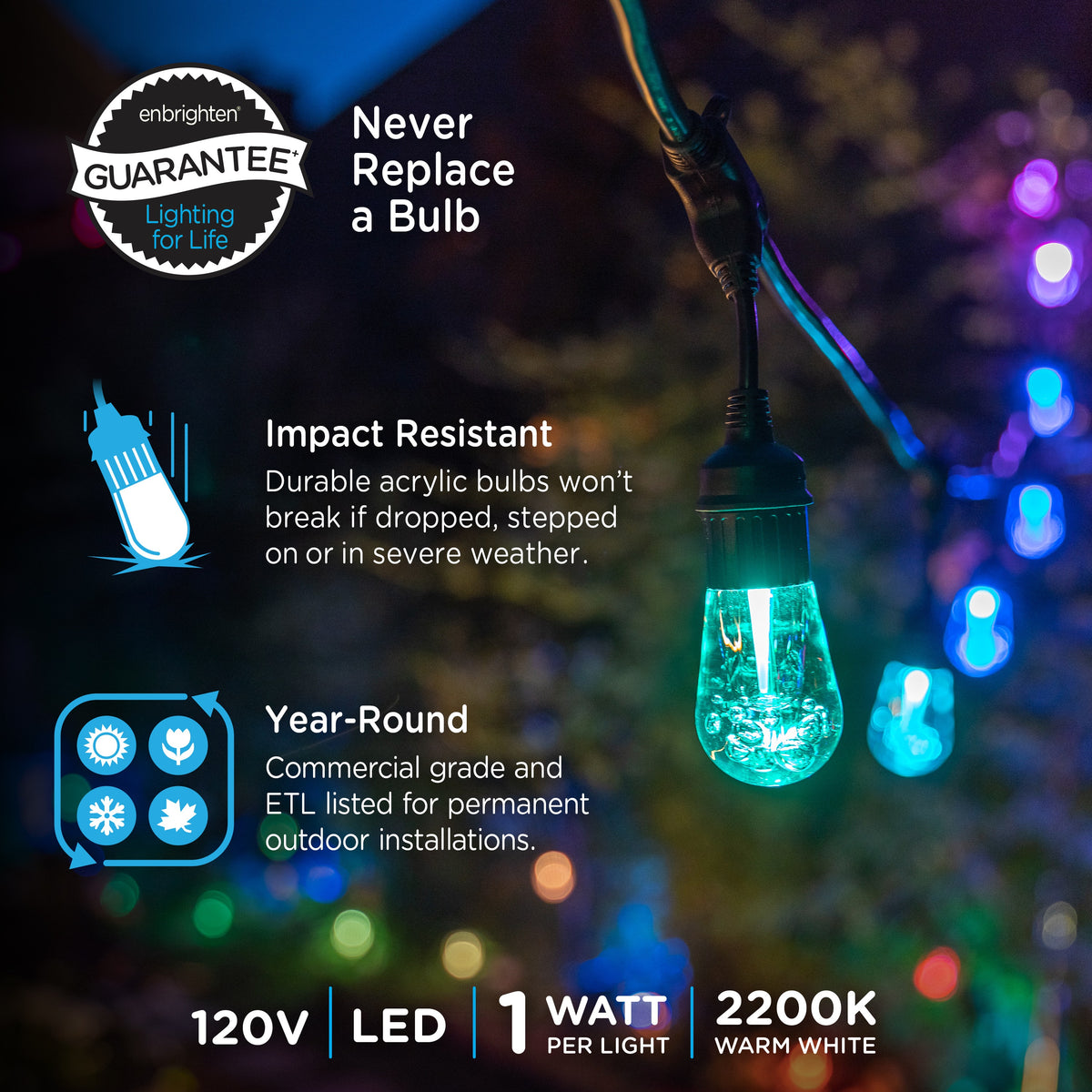 Enbrighten WiFi VIBE Vintage Color-Changing LED Cafe Lights, 12 Bulbs, 24ft. Black Cord