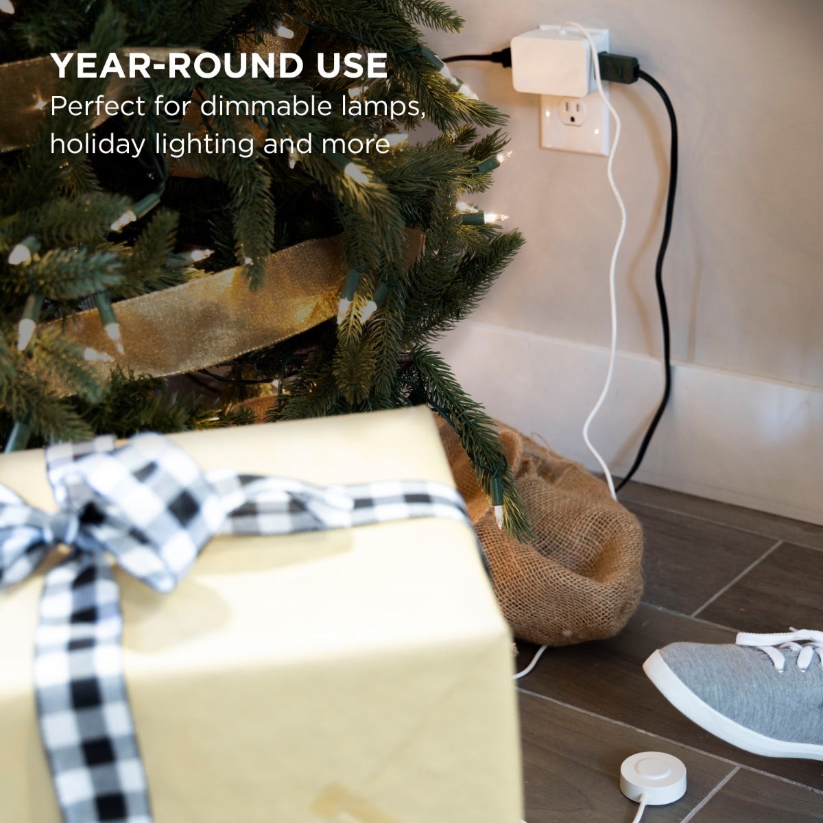 UltraPro 2-Outlet Indoor On/Off Dimmable Lighting Control with Tether, White