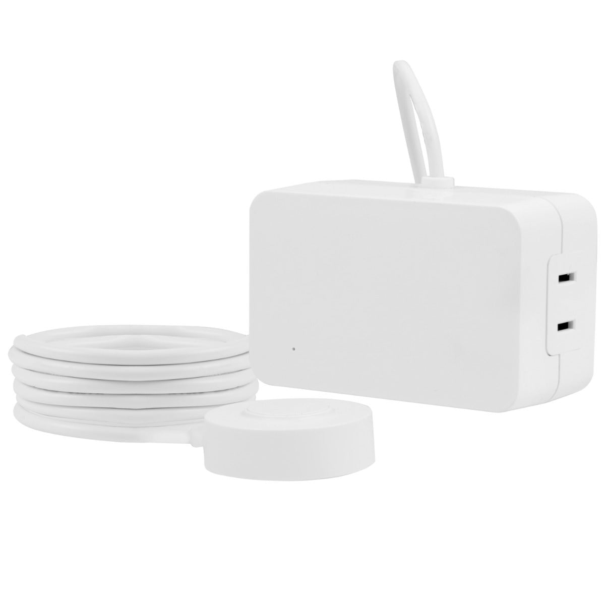 UltraPro 2-Outlet Indoor On/Off Dimmable Lighting Control with Tether, White