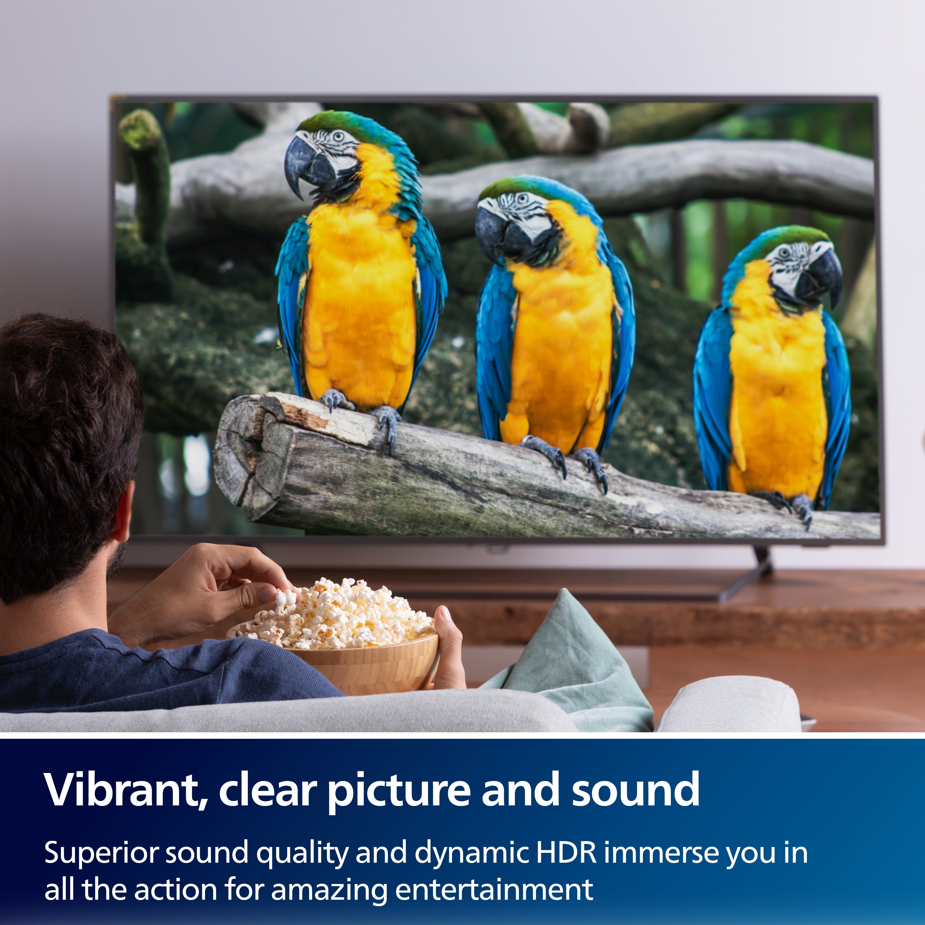 Philips USB-C to DisplayPort Adapter, 8K, 3pk