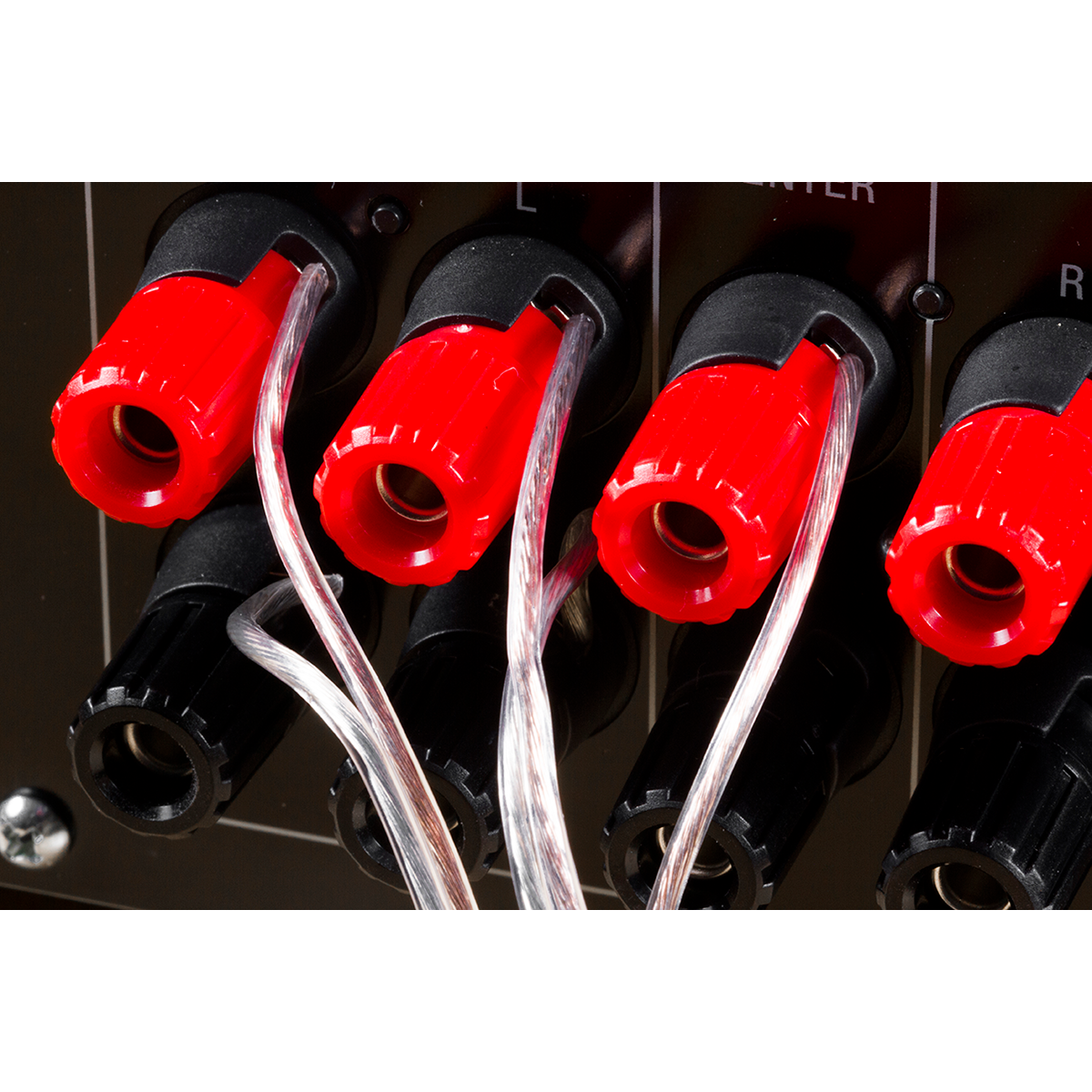 Philips 100 ft. Speaker Wire, Gold