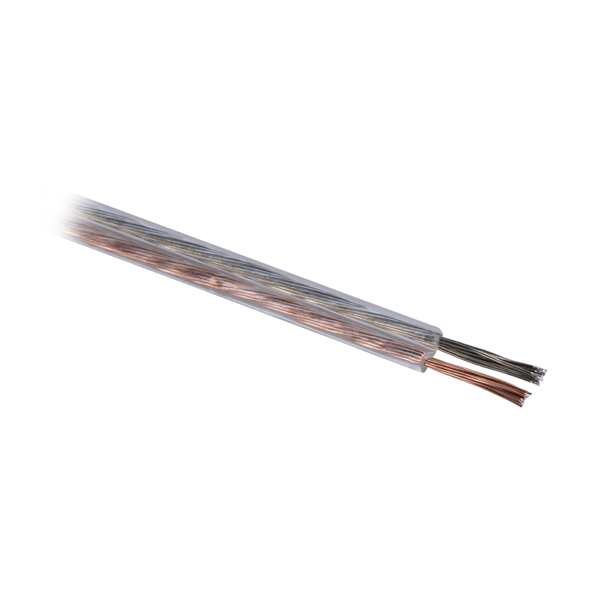 Philips 100 ft. Speaker Wire, Gold