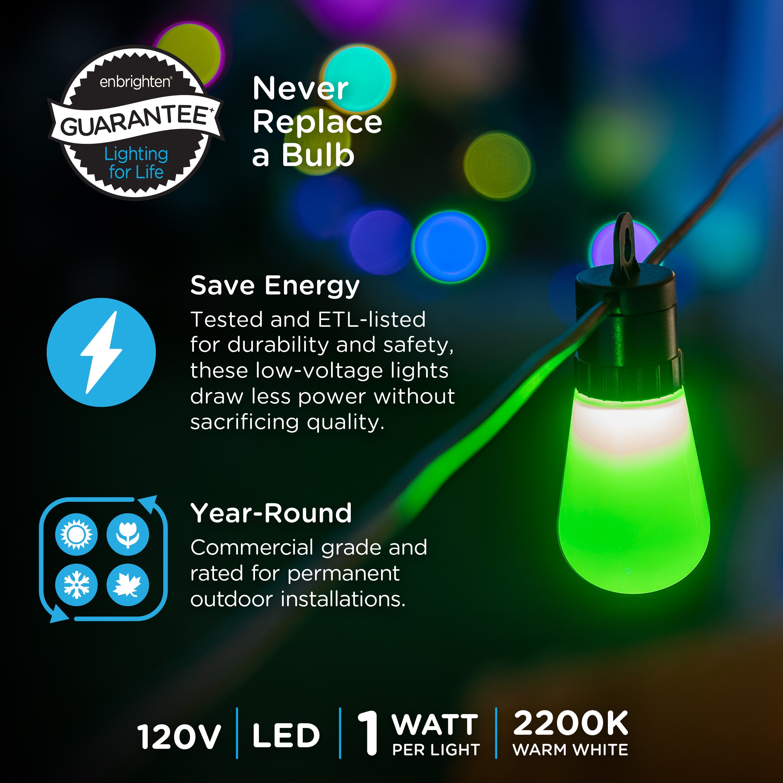 Enbrighten WiFi VIBE Color-Changing Lightweight LED Cafe Lights, 30 Plastic Bulbs, 96ft. Black Cord