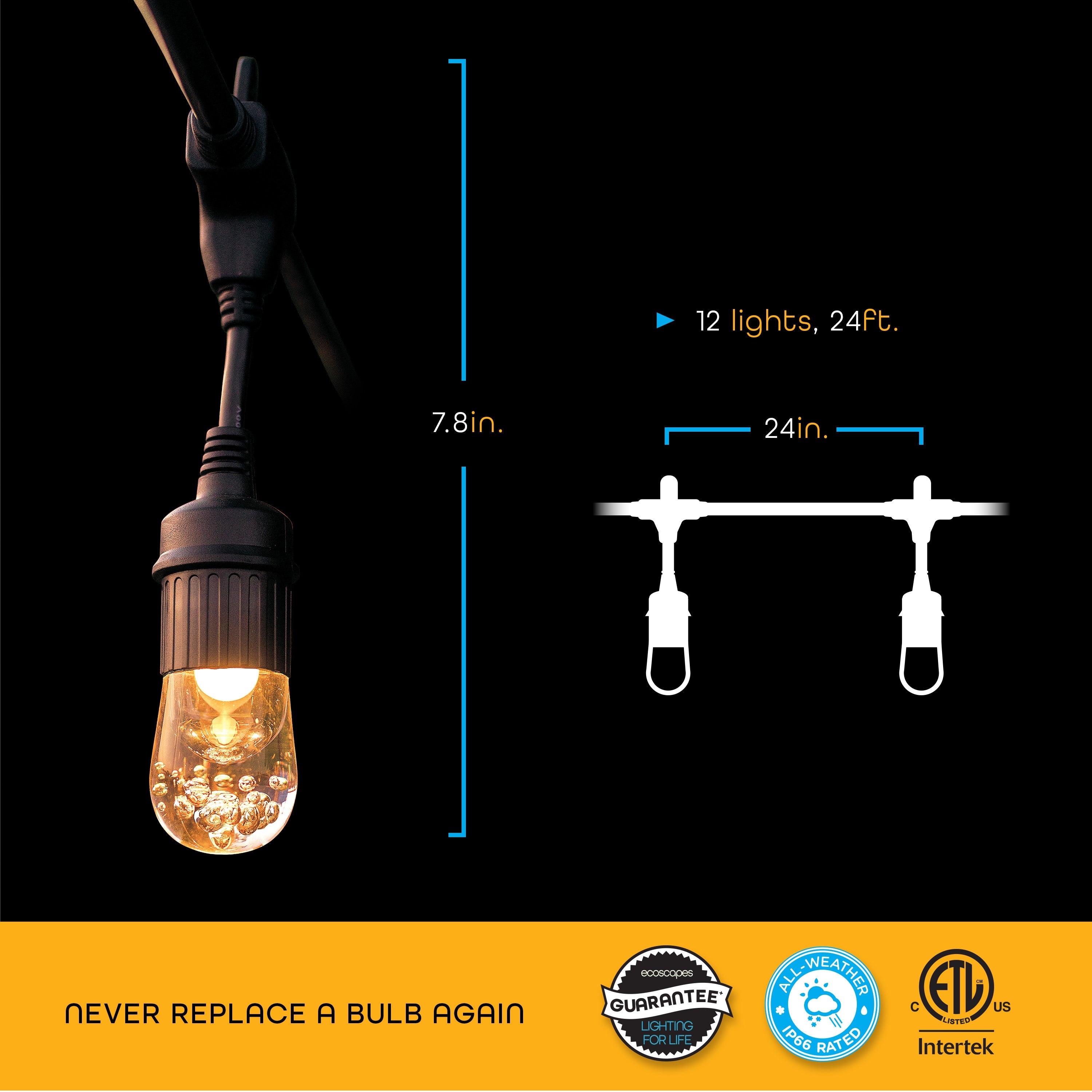 EcoScapes Seasons Color-Changing Cafe Lights, 12 Bulbs, 24ft., Black Cord