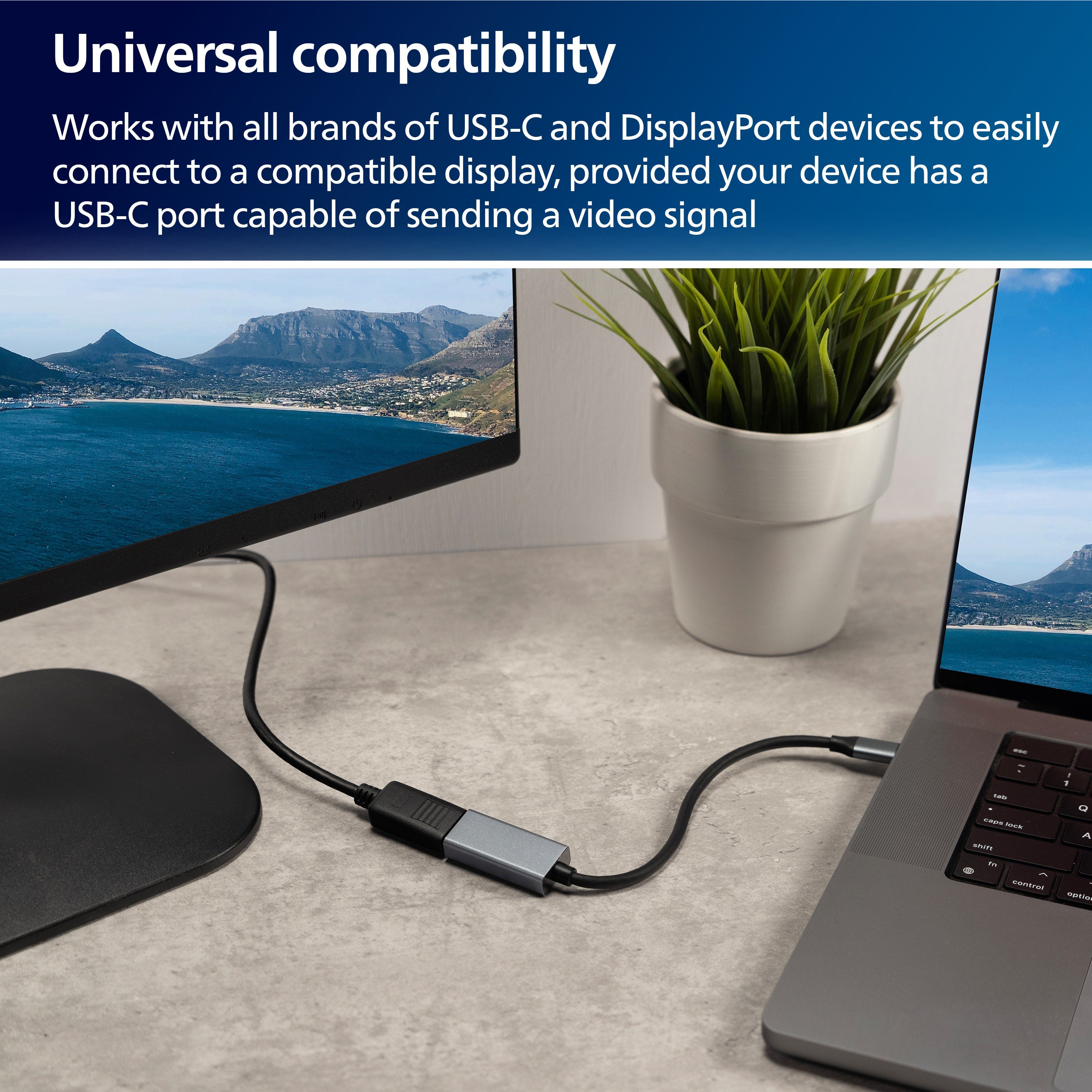 Philips USB-C to DisplayPort Adapter, Silver