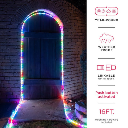 UltraPro Indoor/Outdoor LED Rope Light, 25ft., Color-Changing, Black