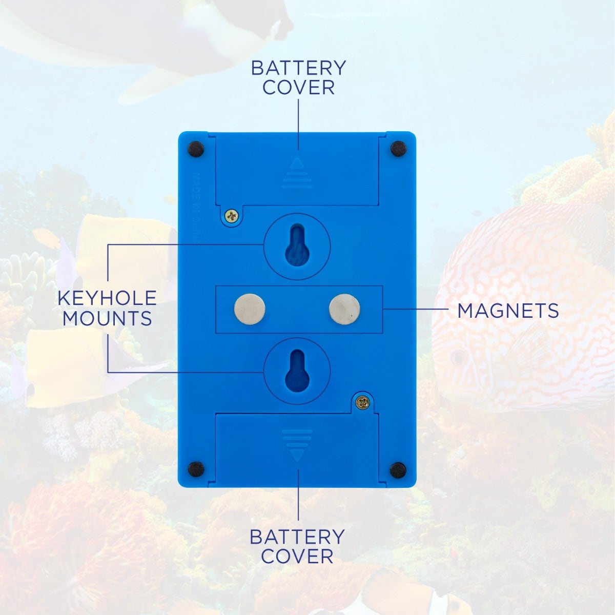 Lights by Night Tropical Fish Battery Operated LED Night Light Switch, Blue