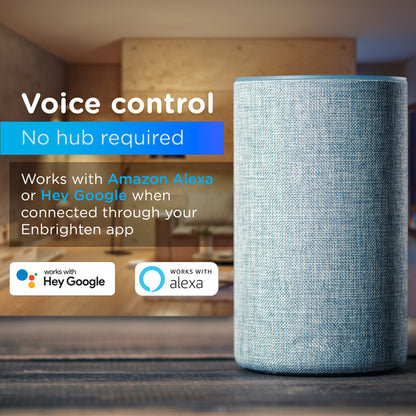 Enbrighten BrightLink Wi-Fi Switch