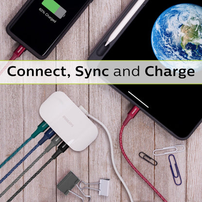Philips 3 ft. USB-C to USB-C Braided Charging Cable, Gray, 2 Pack
