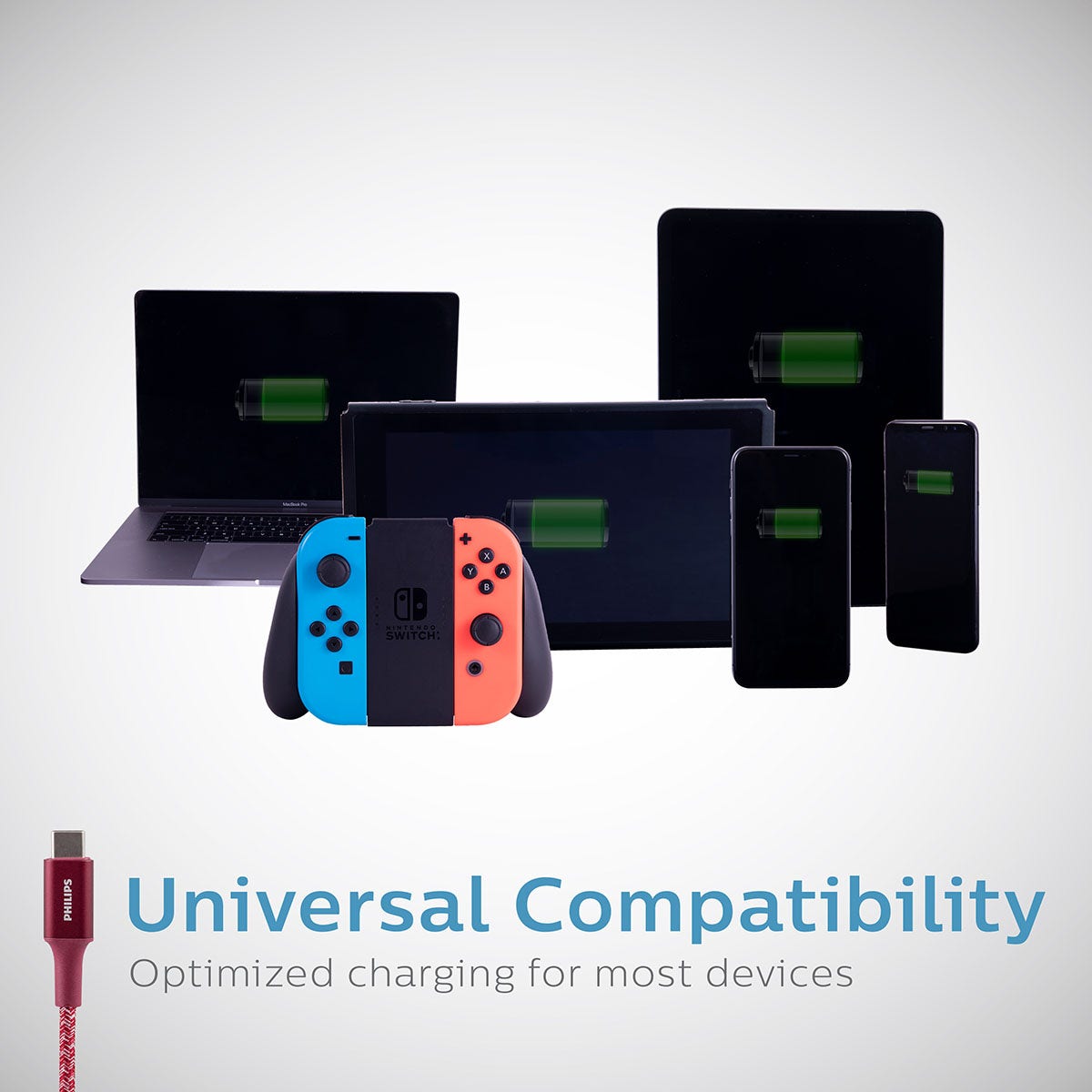 Philips 6in. USB-C to USB-C Braided Charging Cable, Brick Red