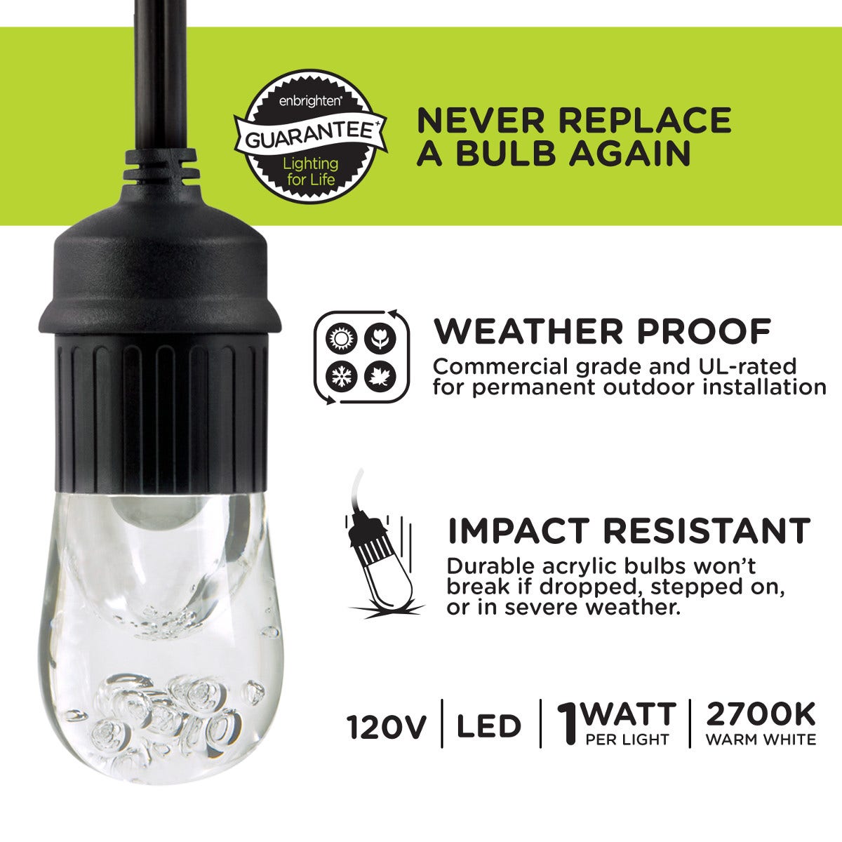 Enbrighten Classic LED Cafe Lights, 9 Bulbs, 18ft. Black Cord