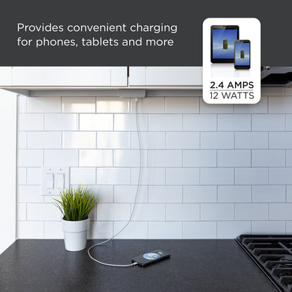Enbrighten ProLink In-Line Outlet with USB Charging