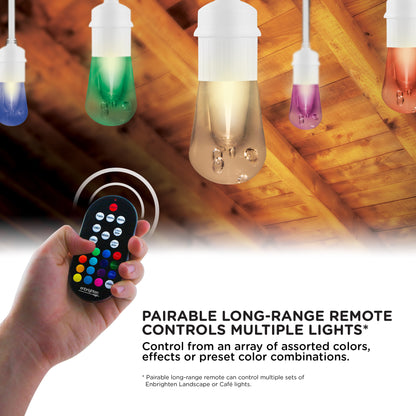 Enbrighten Seasons Color-Changing Vintage LED Cafe Lights,12 Bulbs, 24ft. White Cord