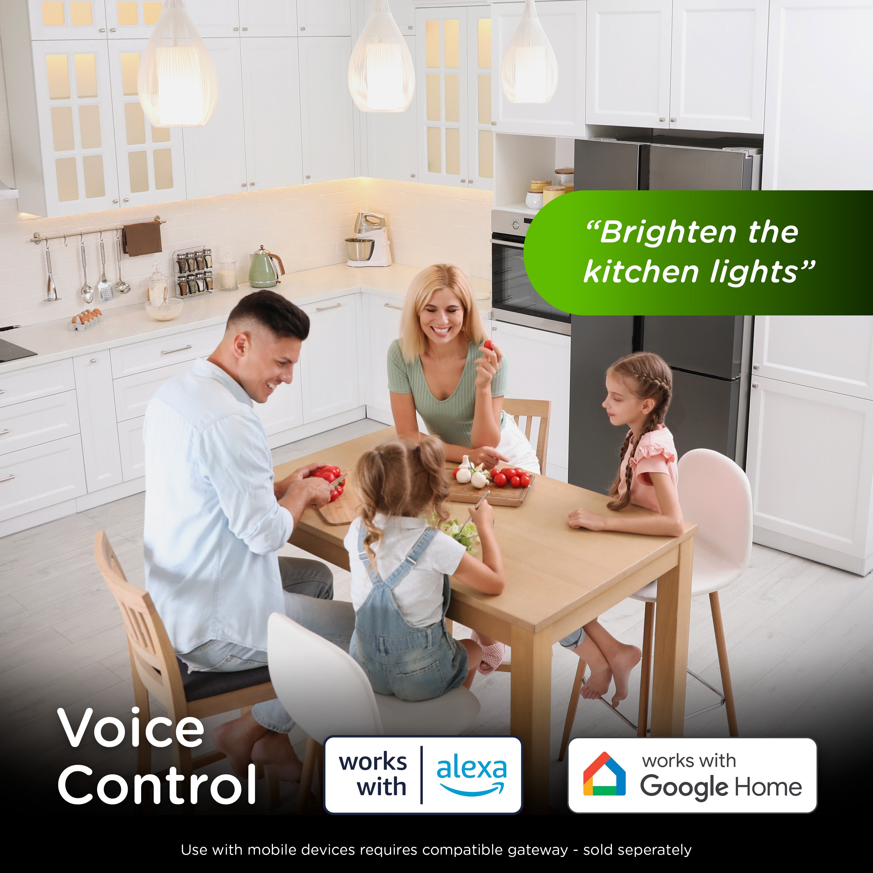 Enbrighten 800 Series Z-Wave Paddle Dimmer