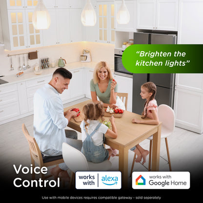 Enbrighten 800 Series Z-Wave Paddle Dimmer