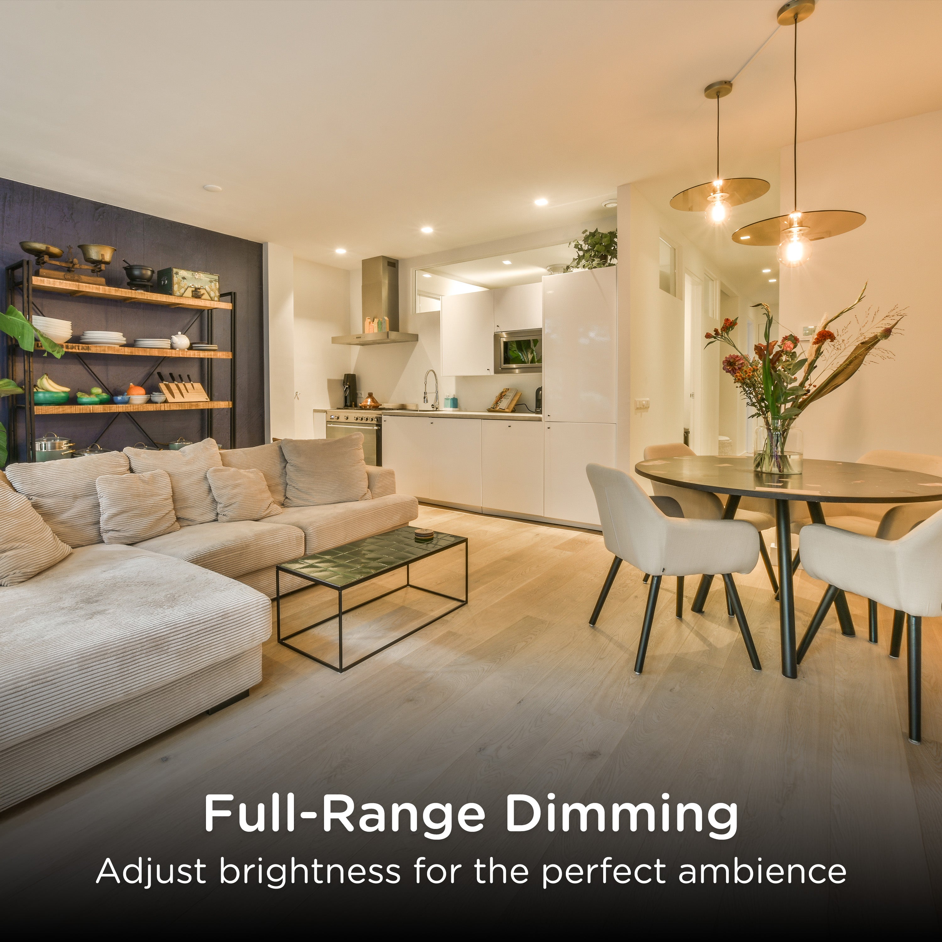 Enbrighten 800 Series Z-Wave Paddle Dimmer