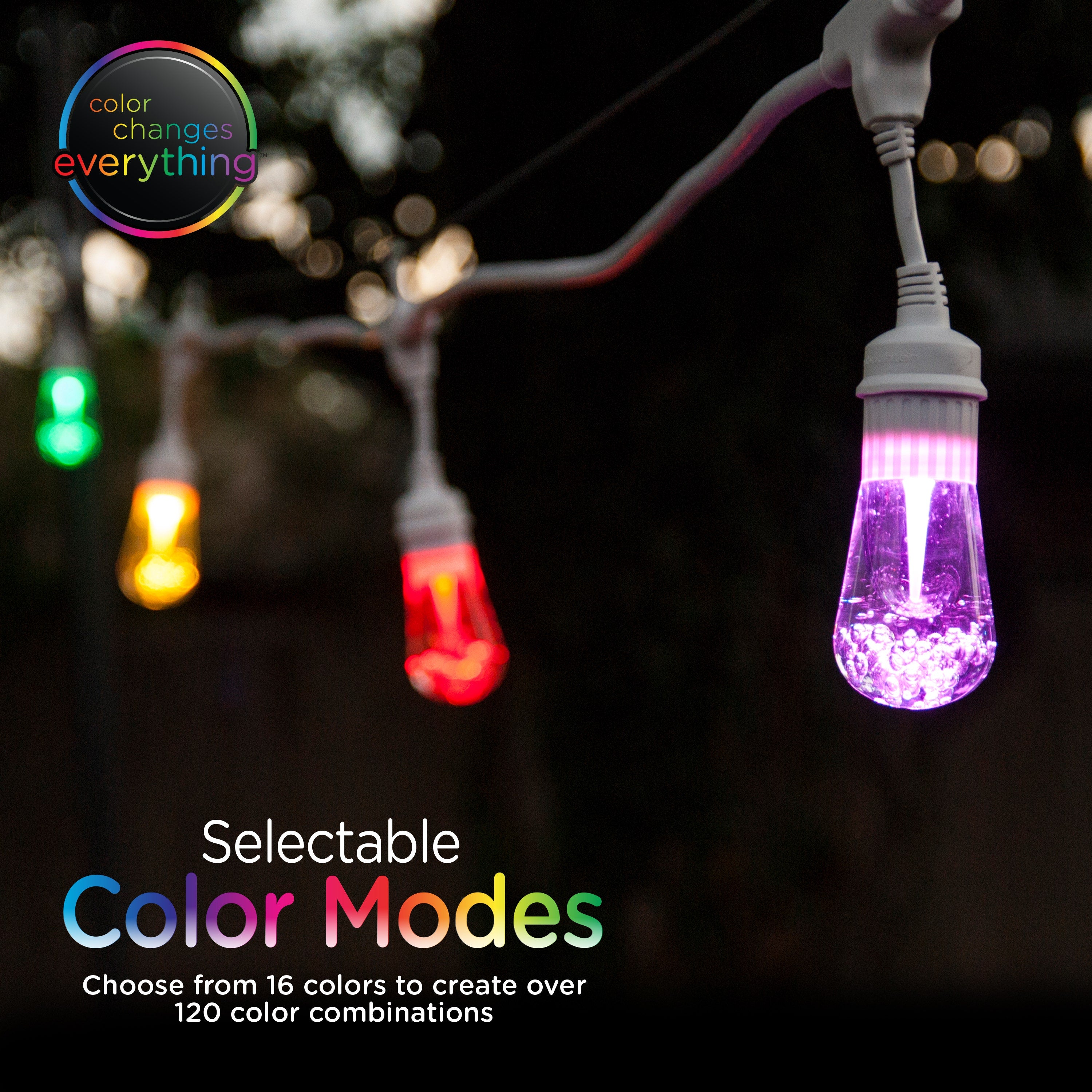 Enbrighten Seasons Color-Changing Vintage LED Cafe Lights,12 Bulbs, 24ft. White Cord