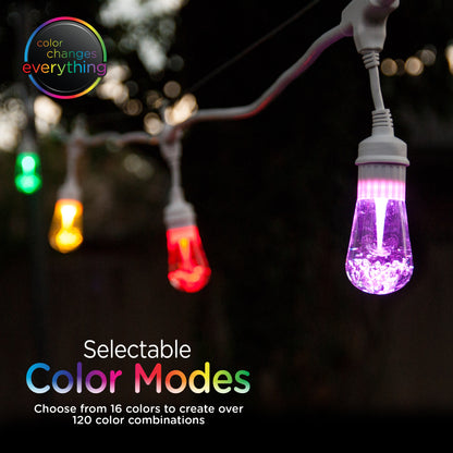 Enbrighten Seasons Color-Changing Vintage LED Cafe Lights,12 Bulbs, 24ft. White Cord