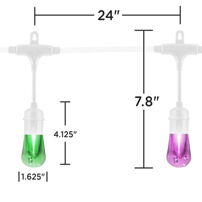 Enbrighten Seasons Color-Changing Vintage LED Cafe Lights,12 Bulbs, 24ft. White Cord