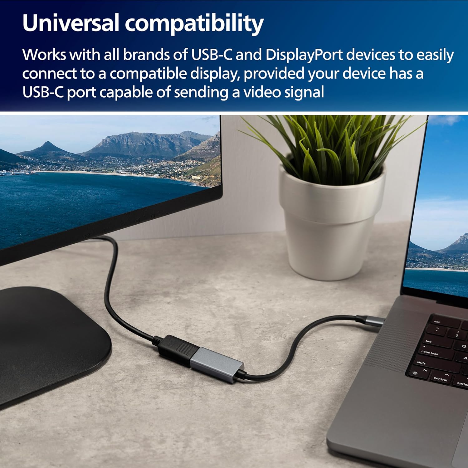 Philips USB-C to DisplayPort Adapter, 8K, 12pk