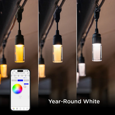Enbrighten WiFi VIBE Modern Color-Changing LED Cafe Lights, 12 Bulbs, 24ft. Black Cord
