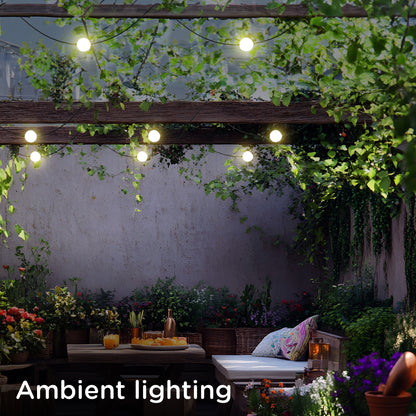 Enbrighten Globe String Lights 12 Bulbs, 44ft.
