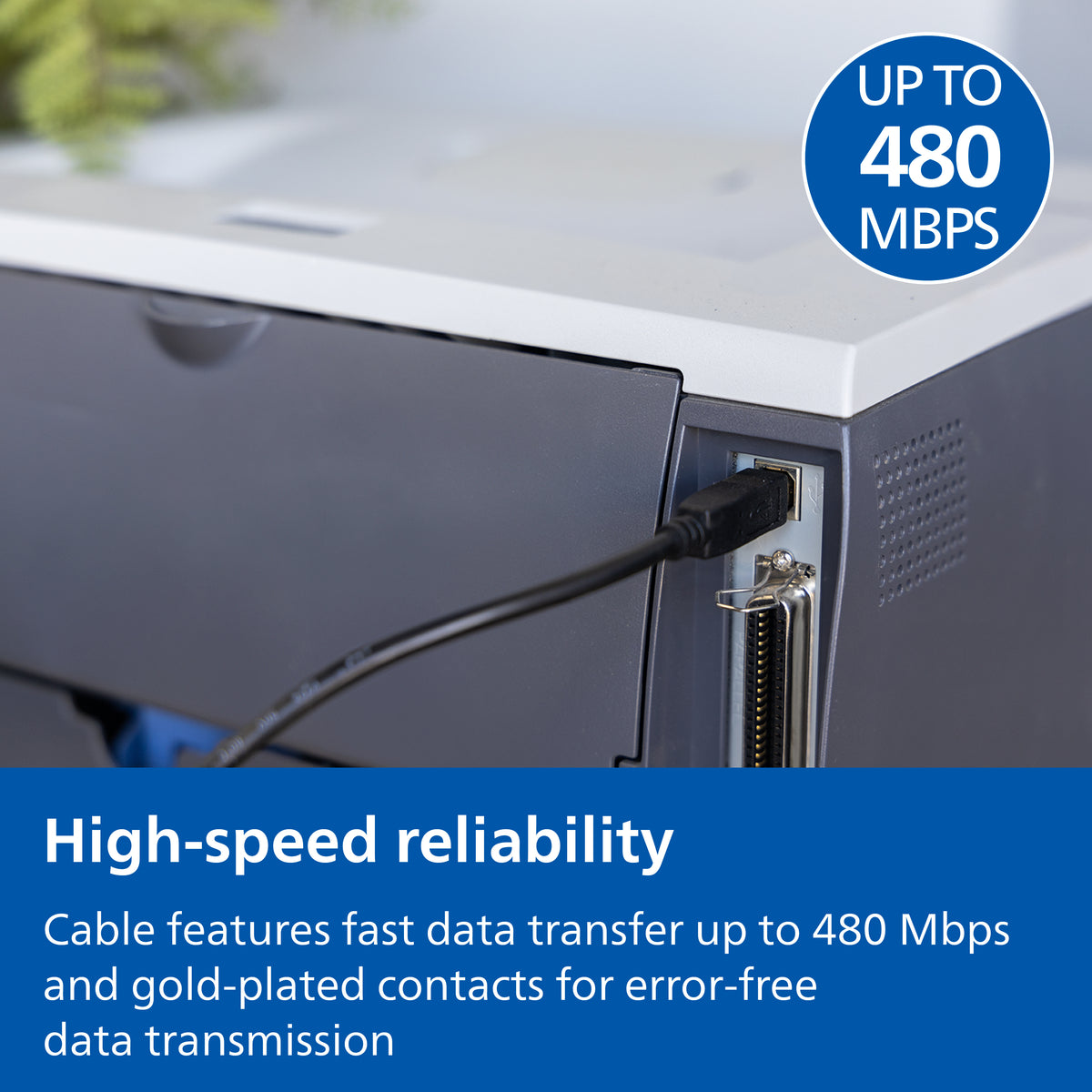 Philips 6 ft. USB-C to USB-B Device Cable, Black
