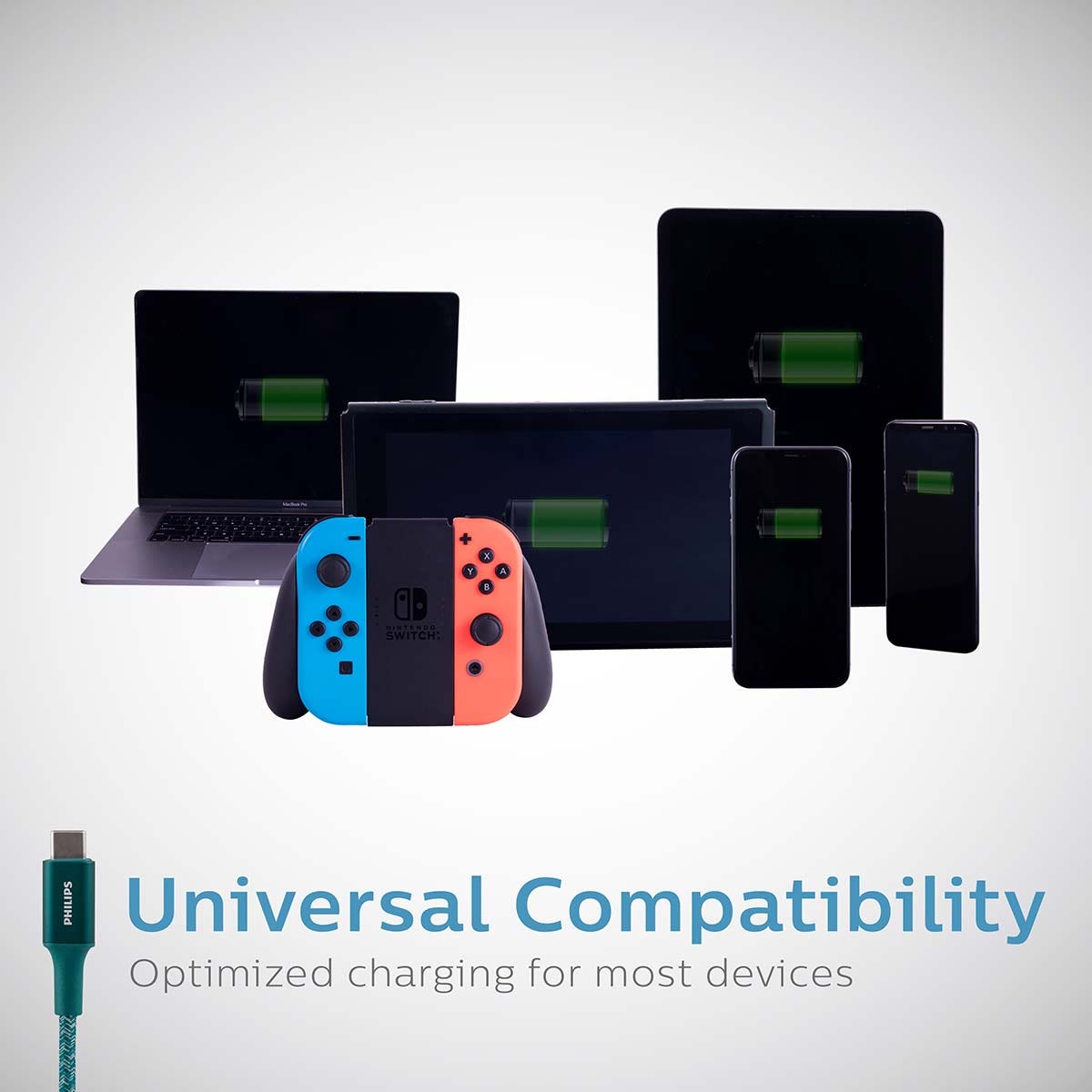 Philips 6in. USB-C to USB-C Braided Charging Cable, Emerald