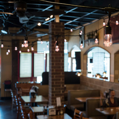 Enbrighten Vintage LED Cafe Lights, 24 Bulbs, 48ft. Black Cord