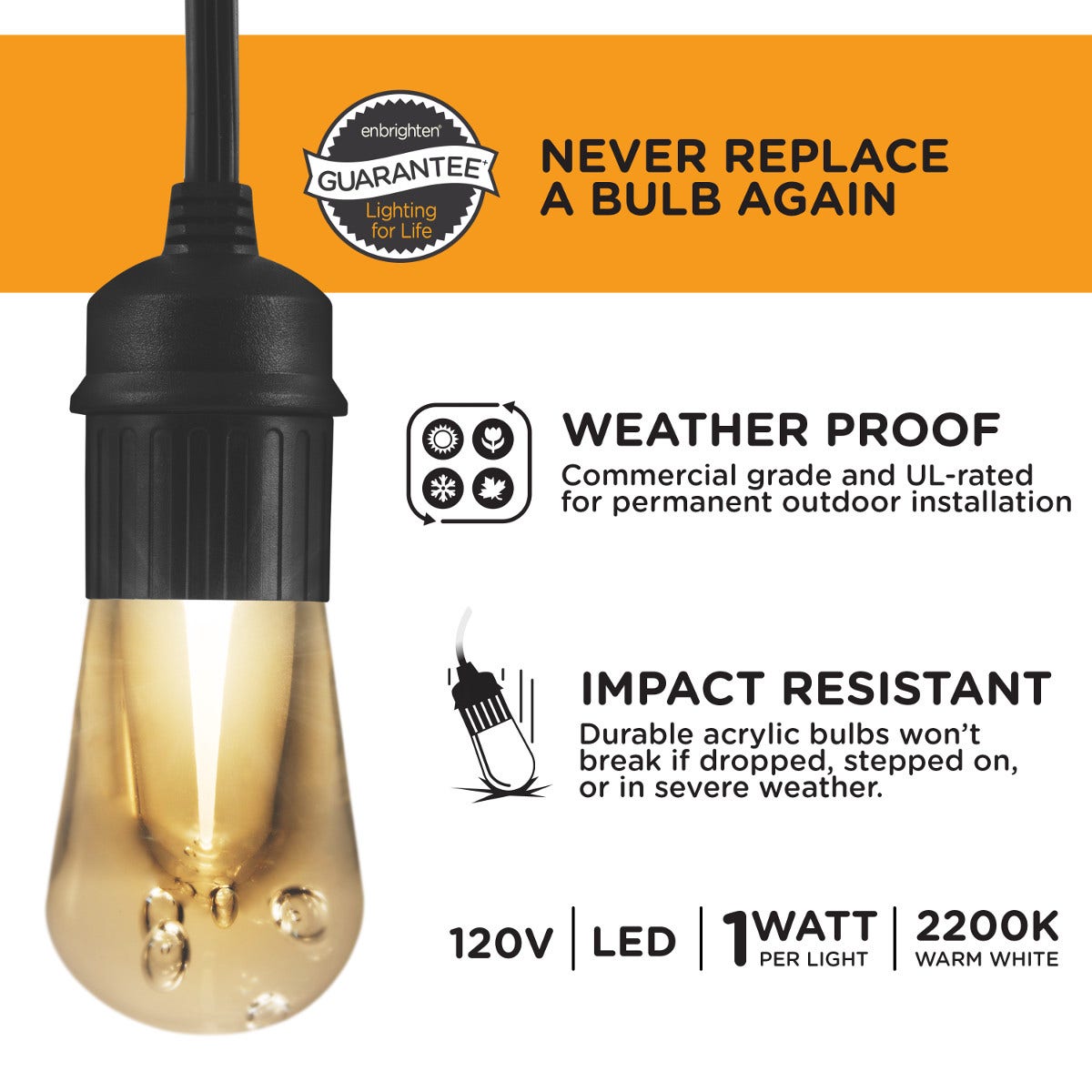Enbrighten Vintage LED Cafe Lights, 24 Bulbs, 48ft. Black Cord