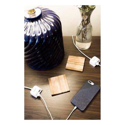 Philips 16ft. 2-USB Tabletop Charger with Splitter Power Cord, White