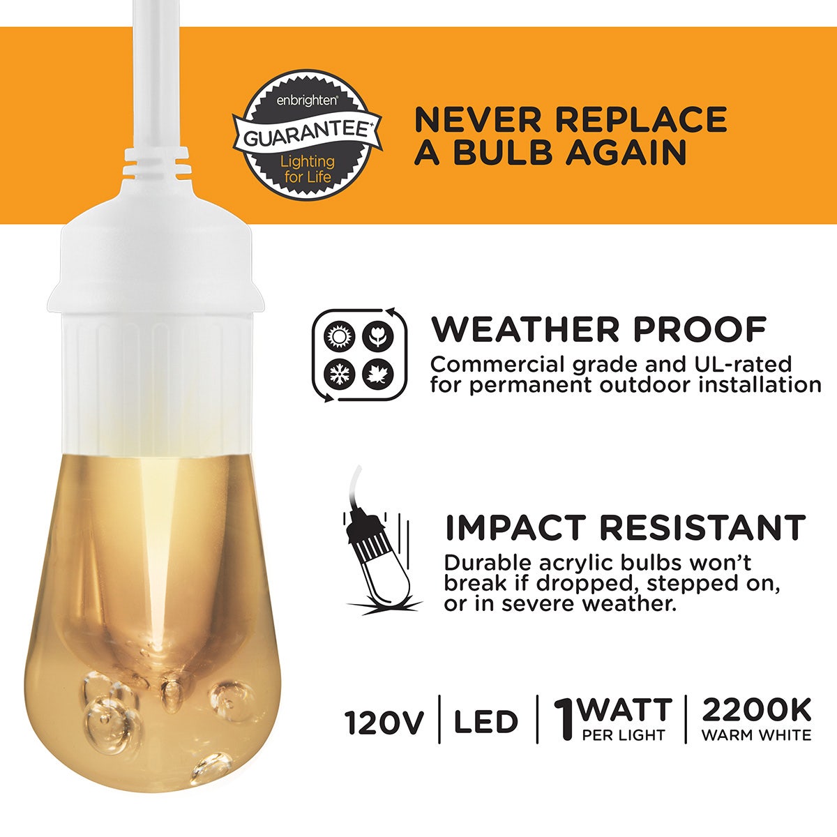 Enbrighten Vintage LED Cafe Lights, 12 Bulbs, 24ft. White Cord