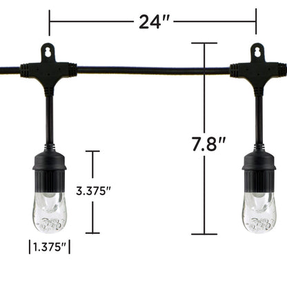 Enbrighten Classic LED Cafe Lights, 24 Bulbs, 48ft. Black Cord