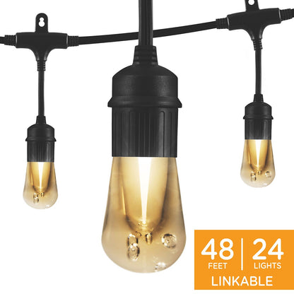 Enbrighten Vintage LED Cafe Lights, 24 Bulbs, 48ft. Black Cord