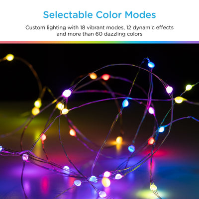 Enbrighten Basics LED Color Changing Fairy String Lights, 60 Lights, 20ft., White