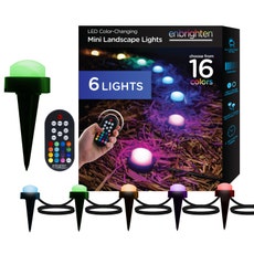 Enbrighten Seasons Mini Color-Changing LED Landscape Lights, 6 Lights, 10 ft. Black Cord