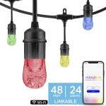 Enbrighten WiFi Seasons Color-Changing Classic LED Smart Cafe Lights, 24 Bulbs, 48ft. Black Cord
